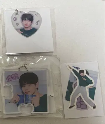 EVNNE 문정현 랜덤 토이