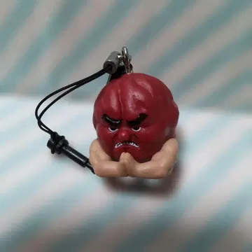 남자 매실 이어폰 잭 스트랩