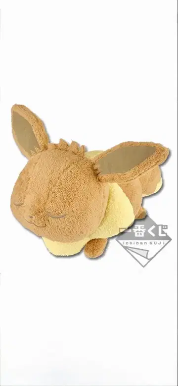 2018 포켓몬 컬렉션 복권 라스트 원상