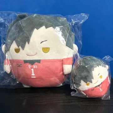 쿠로오 테츠로 하이큐 복권 메이트 누이복권 후와코로링 D상 C상