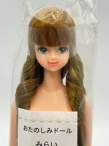 미라이 리카짱 캐슬 오타노시미 인형 브라운 헤어 세로 롤 제니 프렌드