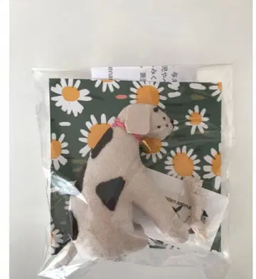 강아지 봉제 인형 인테리어 작가님
