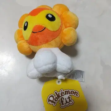 새상품 포켓몬 포와룬 태양의 모습 핏