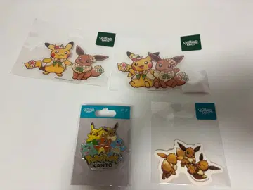 포켓몬 관동 스티커 핀즈 세트