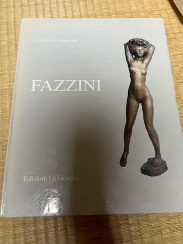 레어 도록 앨범 피츠치니 FAZZINI 현지 제작 작품집