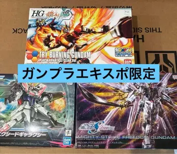 HG 마이티 스트라이크 프리덤 드라이버닝 빌드 스트라이크