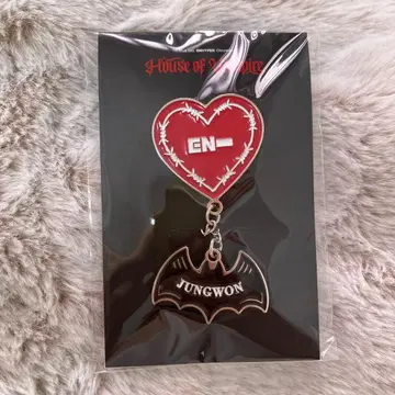 핑 배지 정원 ENHYPEN house of vampire