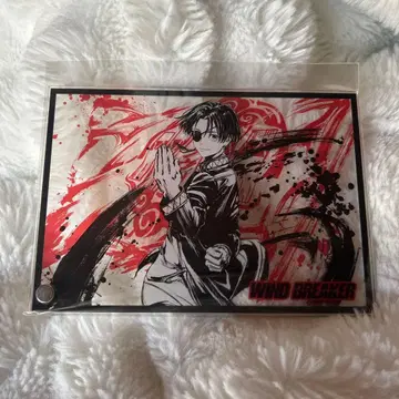 WIND BREAKER 아크릴 플레이트 스오 하야토