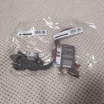 생물대도감 어드밴스 아카메가부토 도마뱀 온라인판 2마리