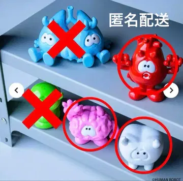 BODEMON 보데몬 컴플리트 3종 세트