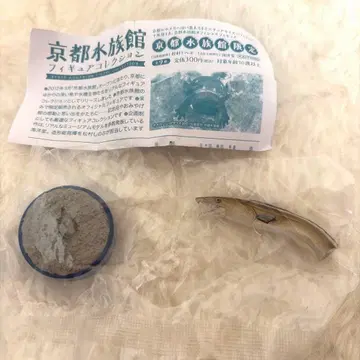 교토 수족관 피규어 컬렉션 하모