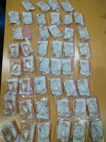 강아지 타임캡슐 5종 45개 세트 반려견 털 보관함