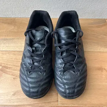 미즈노 모나르시다 NEO 트레이닝 슈즈 23.0cm