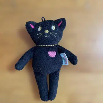 컬리 컬렉션 검은 고양이