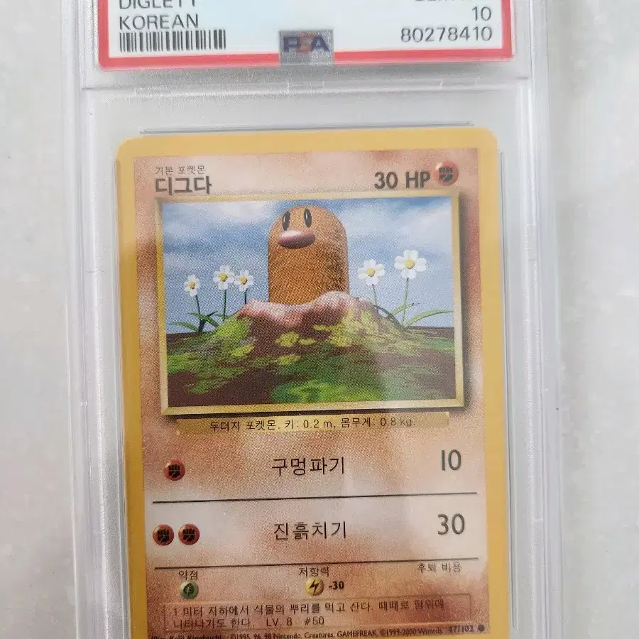 US Edition Pokemon Card 2016 Diglett 55 108 Grade A on Bunjang Global Site. US Edition Pokemon Card 2016 Diglett 55 108 Grade A on Bunjang Global Site.