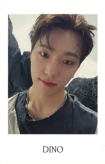 SEVENTEEN WeverseJapan DINO FACE THE SUN