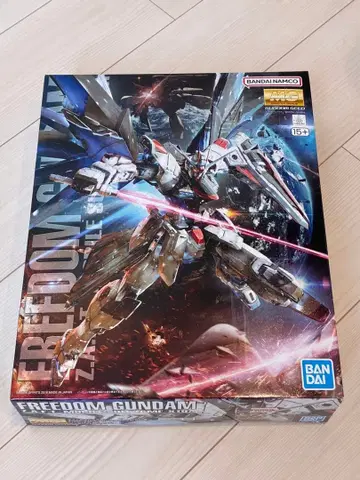 MG 1/100 프리덤 건담 Ver.2.0 미개봉 건담 SEED
