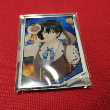 신 테니스의 왕자님 테니프리 에치젠 료마 아크릴 스탠드 테니라비 할로윈