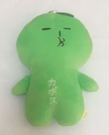 [최종 가격 인하] 유키오 시리즈 카보스 오이타 오이타 지역 특산품