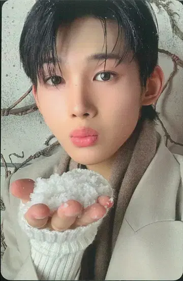 &TEAM 멤버 솔로 자켓반 ver. JO 설명달(Yukiakari) C