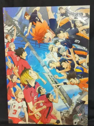 도호 애니메이션 팜플렛 극장판 하이큐!! 쓰레기장의 결전 2024년