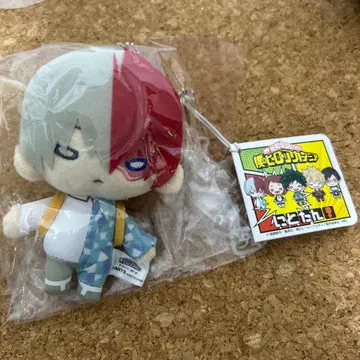 히로아카 니토탄 토도로키 쇼토