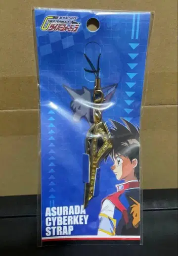 사이버 포뮬러 아스라다 키 스트랩