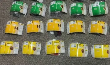 영단어 타겟 콩도서 컬렉션 가챠