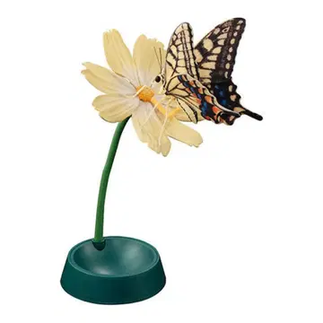 생물대도감 어드밴스 호랑나비 (황호랑나비)