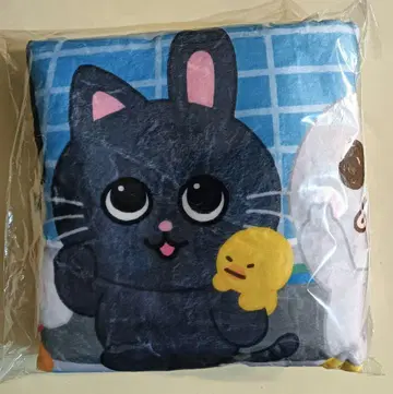 RIIZE 도쿄돔 업그레이드 혜택 담요 새상품 미개봉