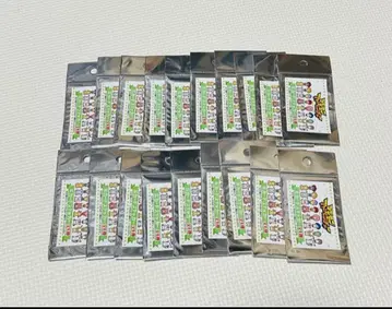 디지몬 어드벤처 IC 카드 스티커 새상품 19장 세트 스티커