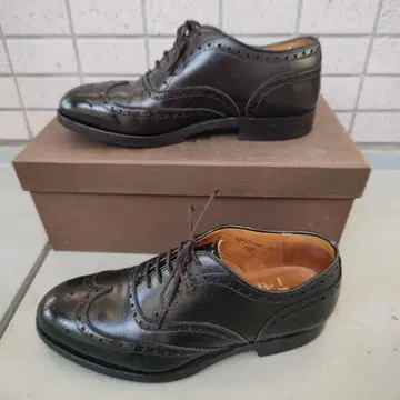 Alden 알든 903 윙팁 US6E 블랙