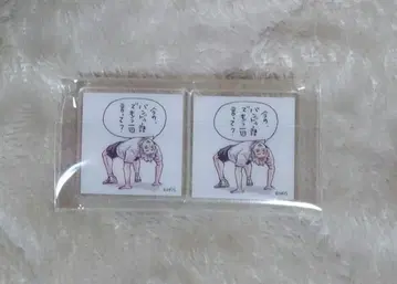 하이큐 응모자 전원 서비스 아크릴 타일 스가와라 코시 카라스노 고교