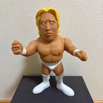 HAO 타카야마 요시히로 프로레슬링 피규어