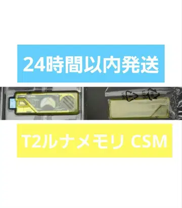 T2 루나 메모리 CSM T2 가이아 메모리 ver.2 HtoN