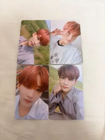 SEVENTEEN 정한 트레이딩 카드 you make my day