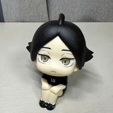 하이큐 룩업 스나 린타로