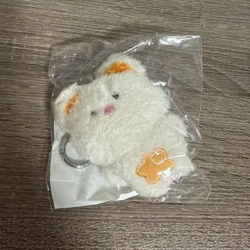 EVNNIZ 승온 뽀롱이 봉제 인형 키링