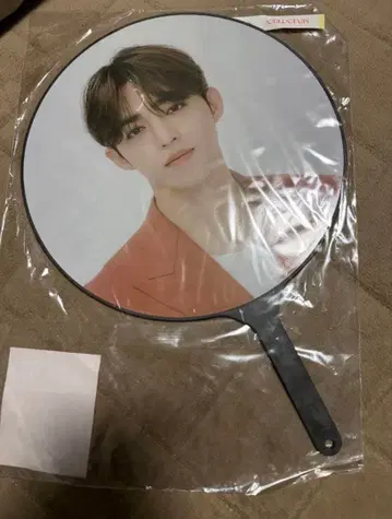 SEVENTEEN 세븐틴 BE THE SUN 부채 에스쿱스