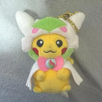 레어템 메가서나이트 판초 피카츄 레어