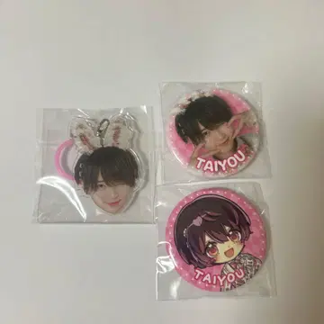 러브시크 태양 국제 포럼 마크 캔뱃지