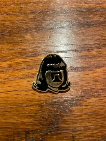 tacoma fuji records 타코마 후지 레코드 핀즈 핀 배지