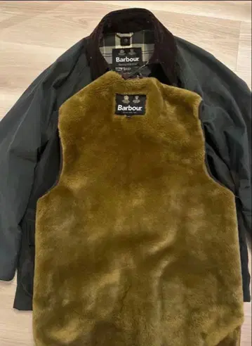 바버 비데일 세이지 라이너 세트