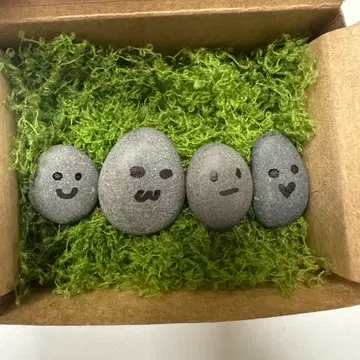 반려돌 키우기 세트