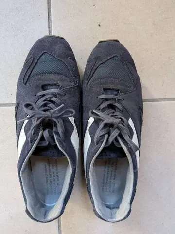 REPRODUCTION OF FOUND swedish trainer