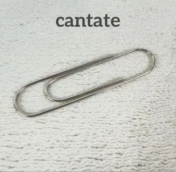 cantate 칸타타 실버 925 머니클립 1ldk