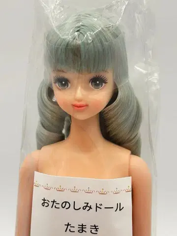 타마키 리카짱 캐슬 오타노시미 인형 블루 계열 제니 프렌드