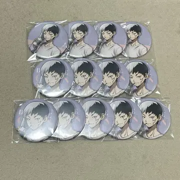 Dr.STONE 믹스 가든 등신 캔뱃지 센쿠 13개