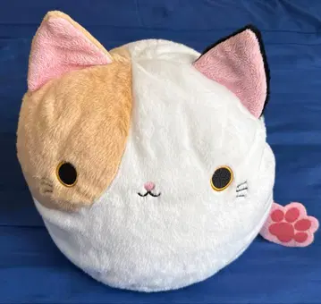 산에이 무역 고양이 찰떡 BIG 삼색 고양이