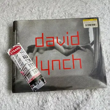 레어 데이비드 린치 다크 스플렌더